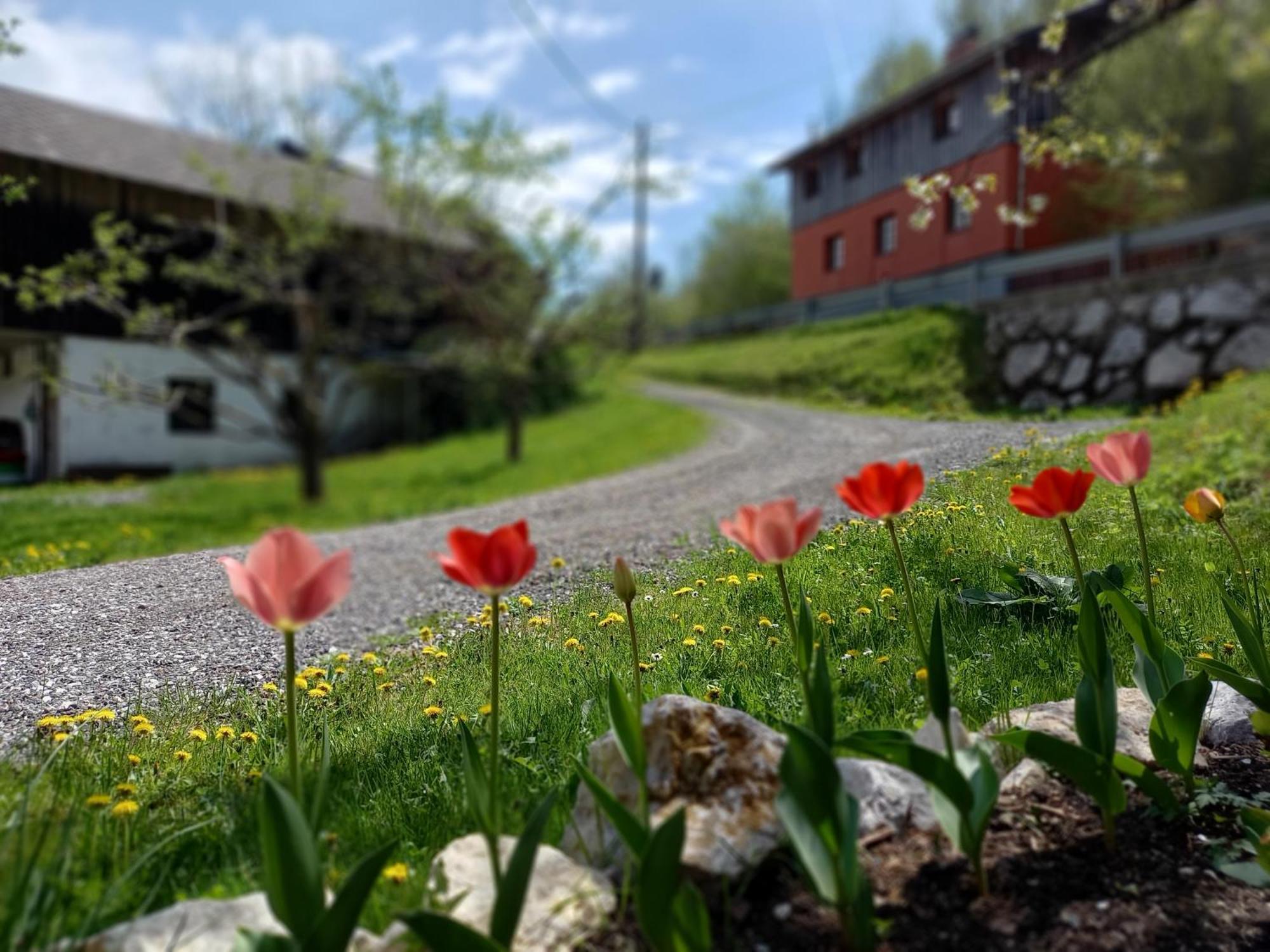 The Riverside Chill Hostel Bled Exterior photo