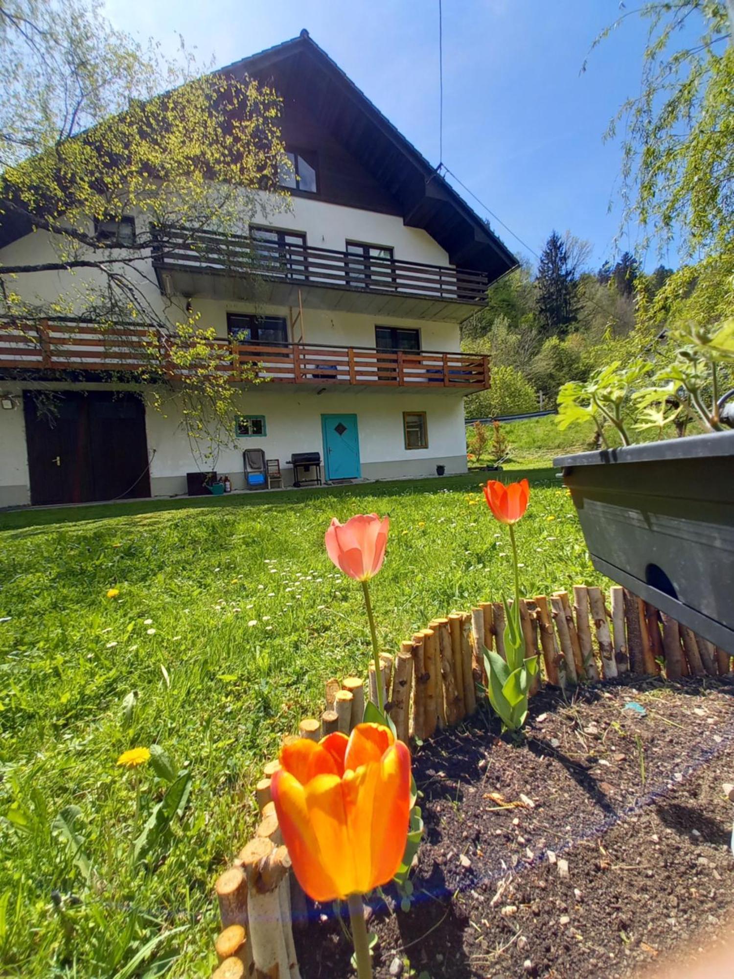 The Riverside Chill Hostel Bled Exterior photo